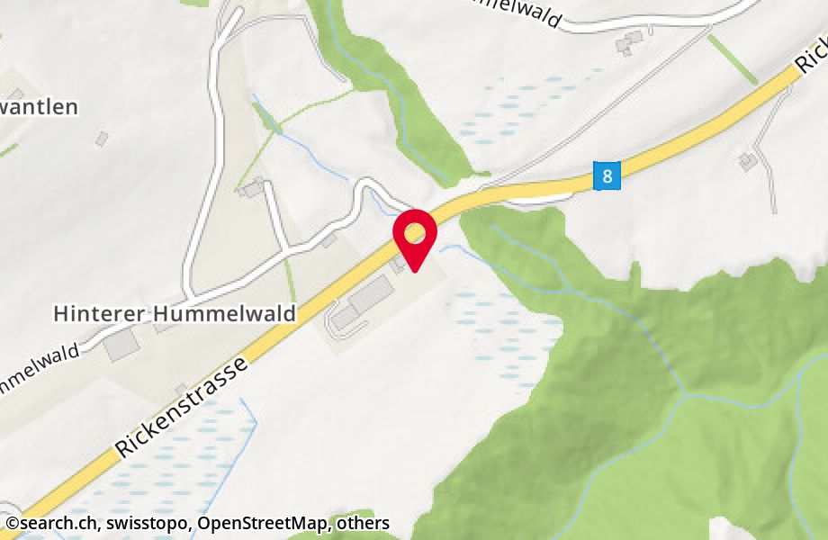 Hinterer Hummelwald 4394, 8726 Ricken