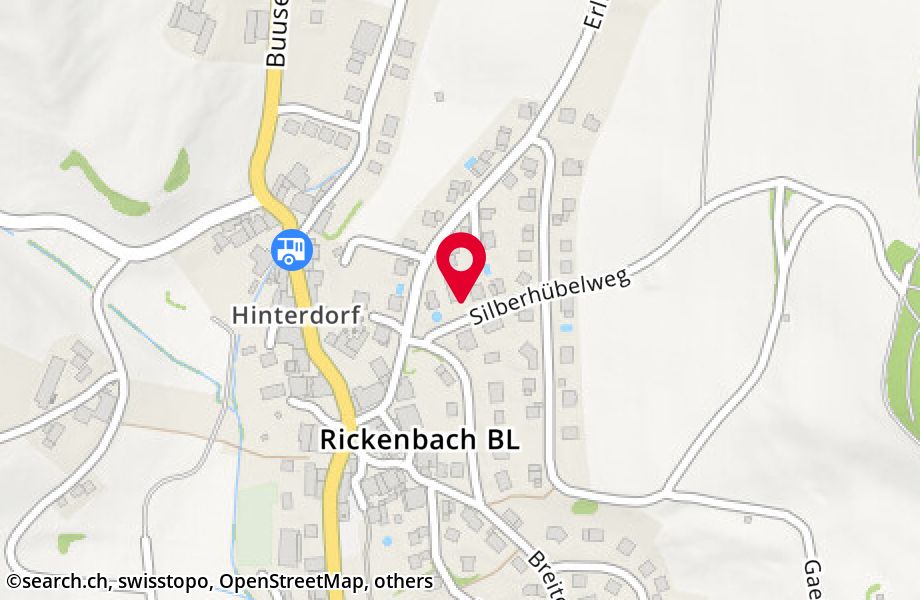 Silberhübelweg 1, 4462 Rickenbach