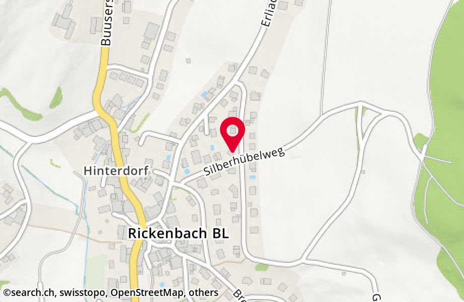 Wildemerweg 8, 4462 Rickenbach