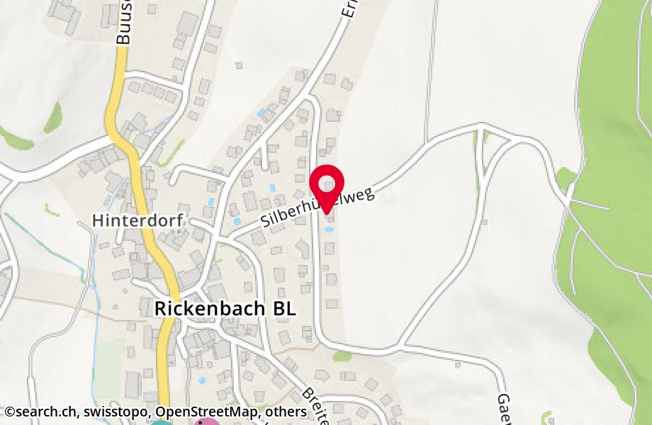 Wildemerweg 9, 4462 Rickenbach
