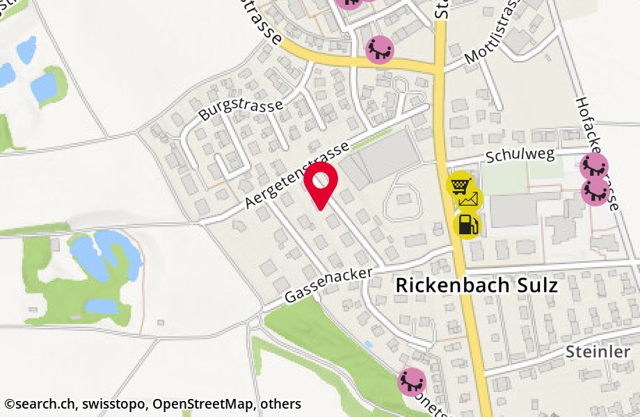 Wiesackerstrasse 11, 8545 Rickenbach Sulz