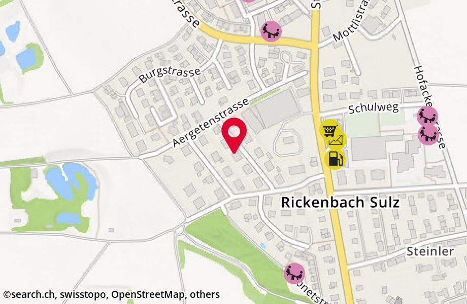 Wiesackerstrasse 9, 8545 Rickenbach Sulz