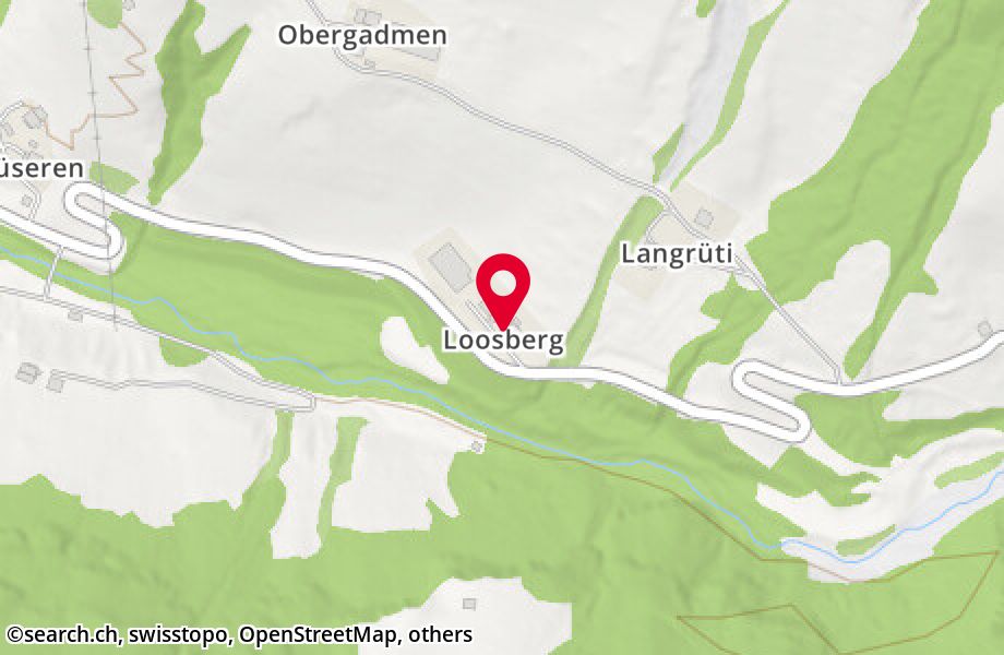Loosberg 1, 6452 Riemenstalden