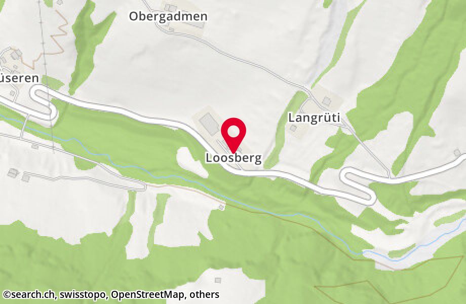 Loosberg 1, 6452 Riemenstalden