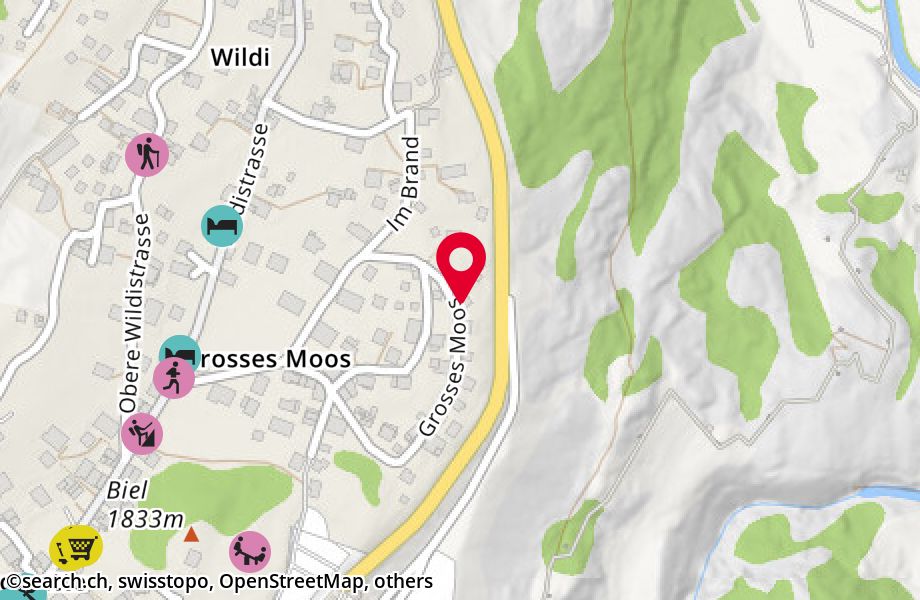 Grosses Moos 46, 3906 Saas-Fee