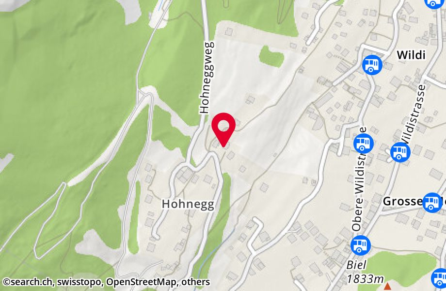 Hohneggweg 62a, 3906 Saas-Fee