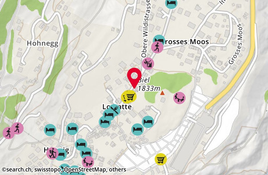 Lomattenstrasse 30, 3906 Saas-Fee