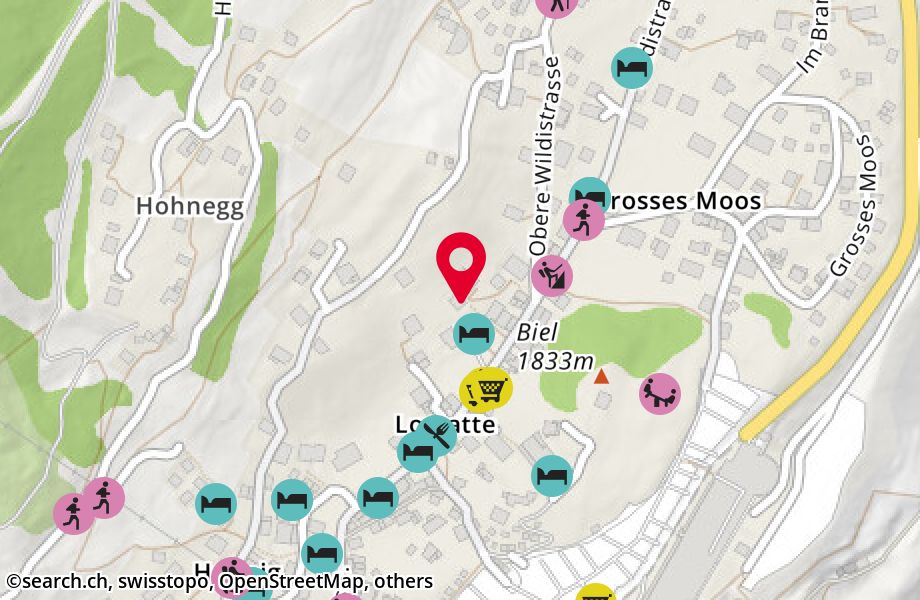 Lomattenstrasse 33, 3906 Saas-Fee