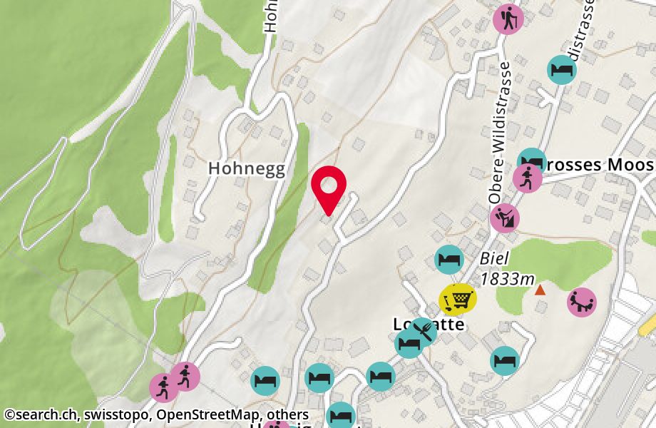 Obere Lomattenstrasse 35, 3906 Saas-Fee