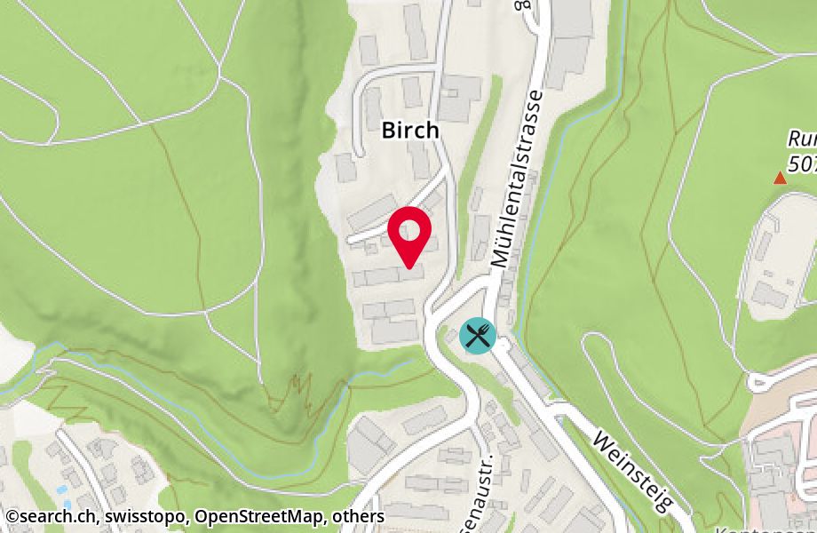 Birchweg 9, 8200 Schaffhausen