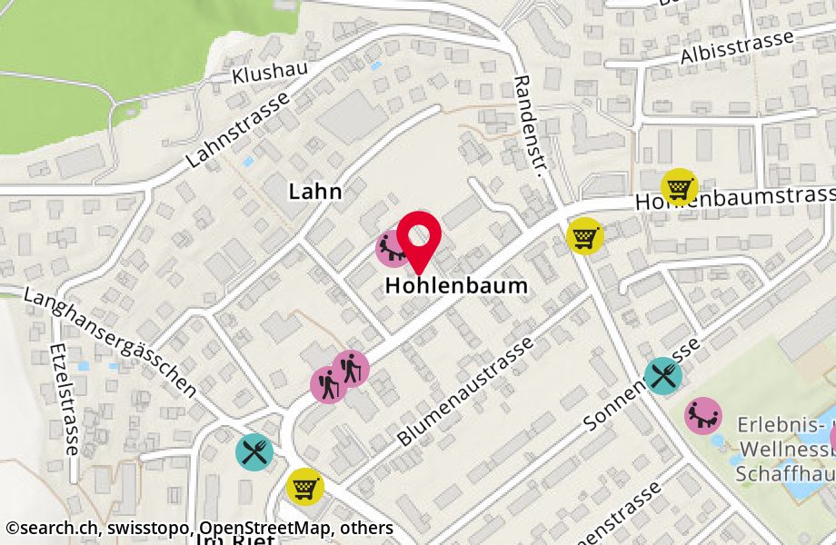 Hohlenbaumstrasse 43, 8200 Schaffhausen