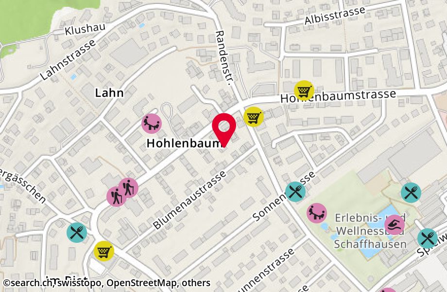 Hohlenbaumstrasse 66, 8200 Schaffhausen