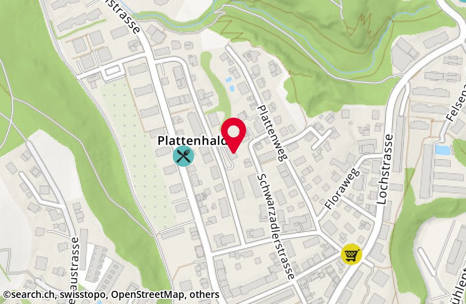 Plattenhalde 22, 8200 Schaffhausen