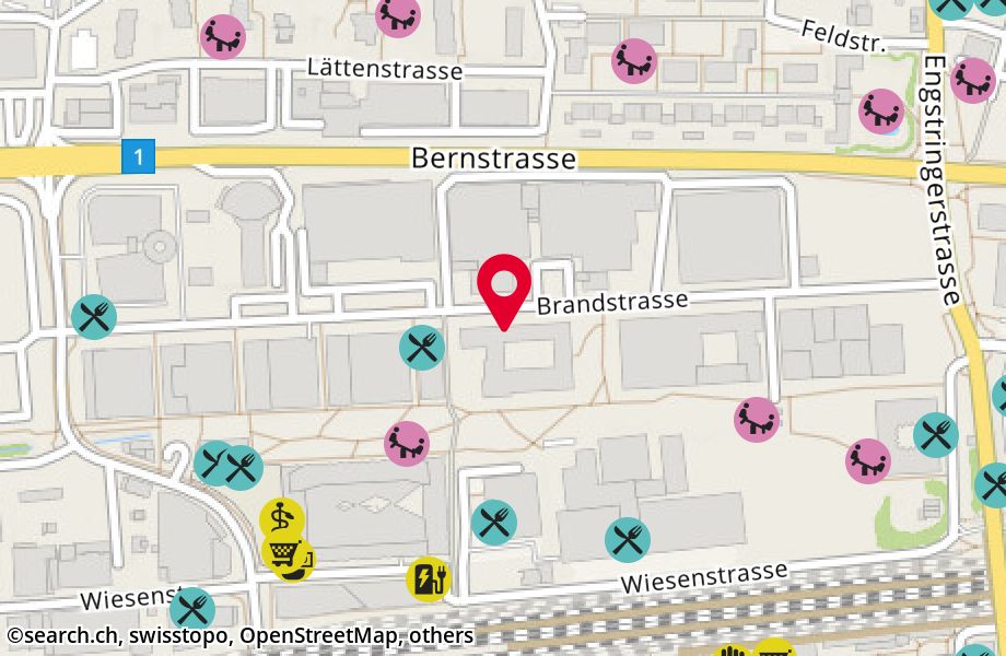 Brandstrasse 25H316, 8952 Schlieren