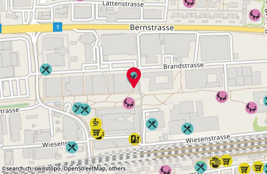 Brandstrasse 31, 8952 Schlieren