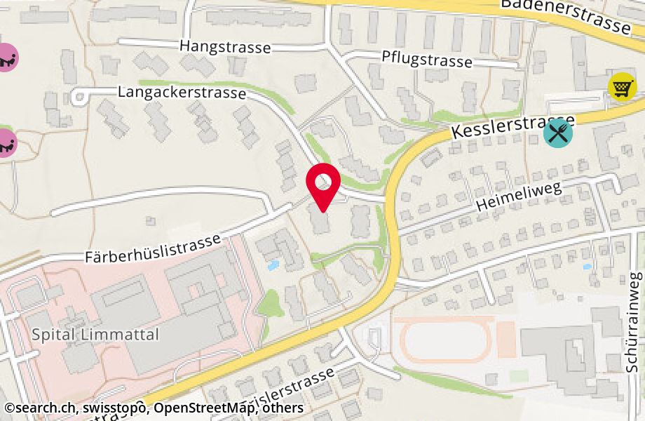 Langackerstrasse 3, 8952 Schlieren
