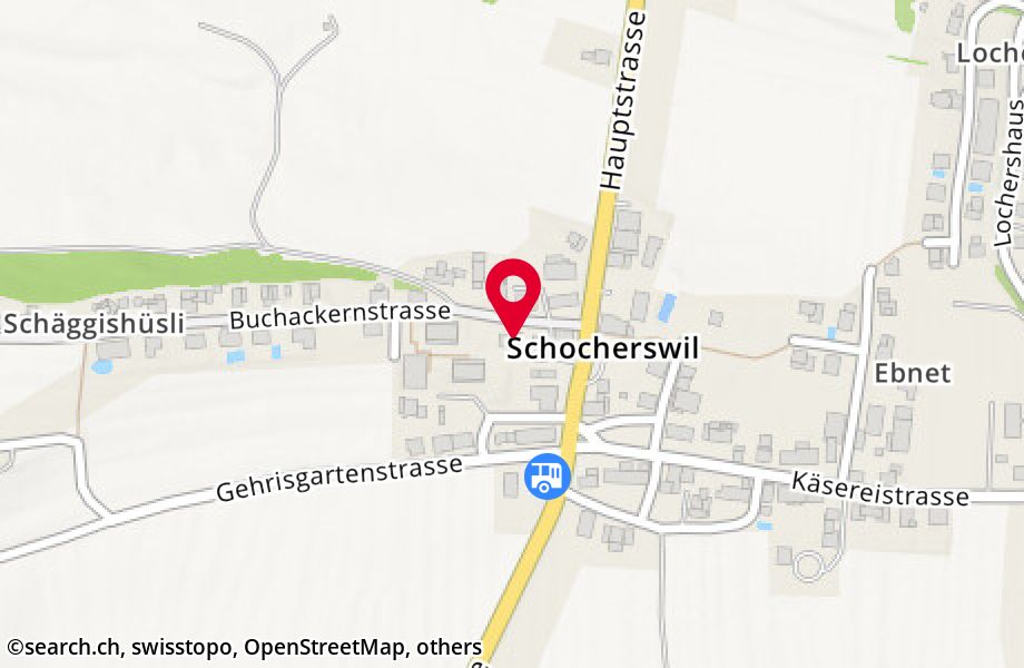Buchackernstrasse 1, 8581 Schocherswil