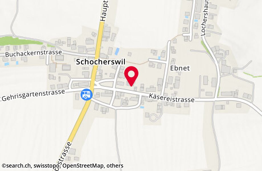Käsereistrasse 9, 8581 Schocherswil