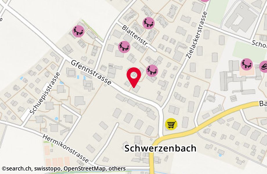 Gfennstrasse 6, 8603 Schwerzenbach