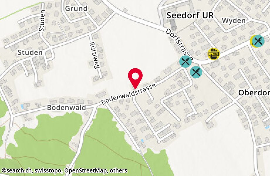 Bodenwaldstrasse 12, 6462 Seedorf