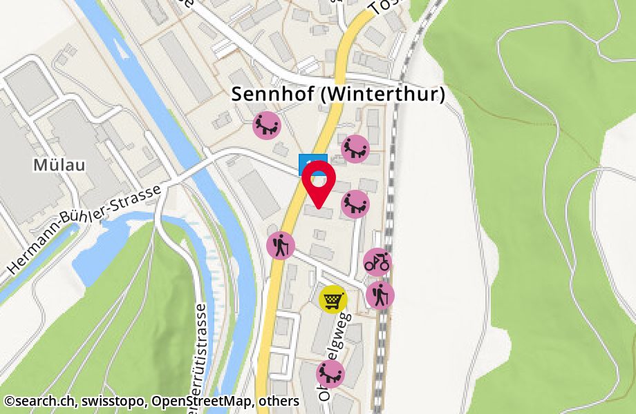 Tösstalstrasse 369, 8482 Sennhof (Winterthur)