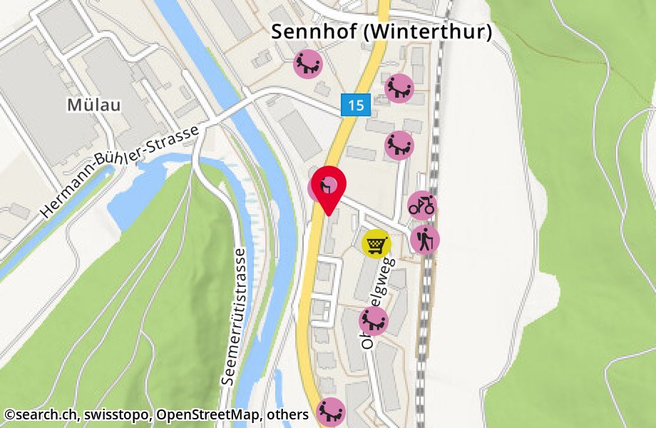 Tösstalstrasse 383/26, 8482 Sennhof (Winterthur)