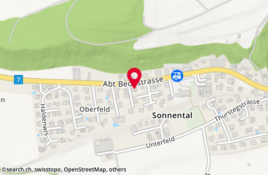 Abt Bedastrasse 81, 9245 Sonnental