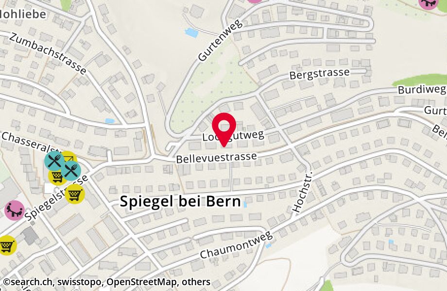 Bellevuestrasse 107, 3095 Spiegel b. Bern