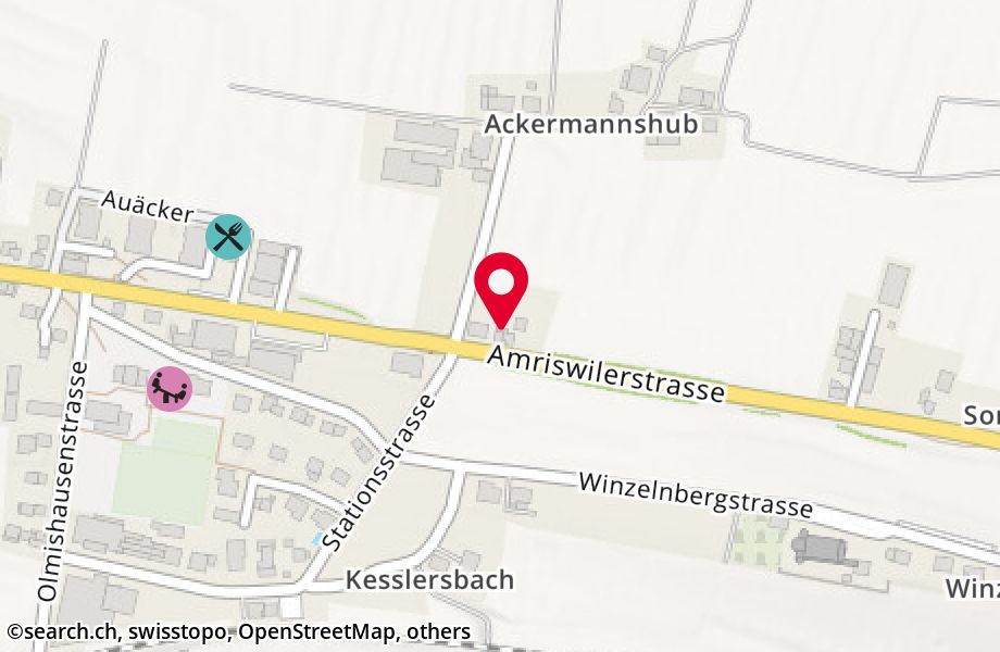 Amriswilerstrasse 36, 9314 Steinebrunn