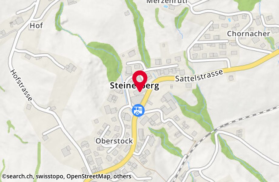 Husmattstrasse 4, 6416 Steinerberg