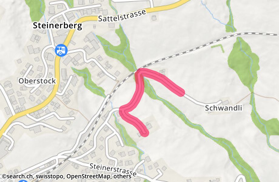 Schwandlistrasse 7, 6416 Steinerberg