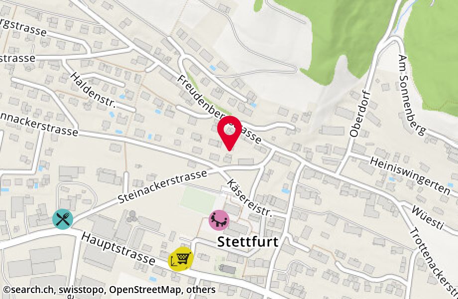 Steinackerstrasse 11b, 9507 Stettfurt