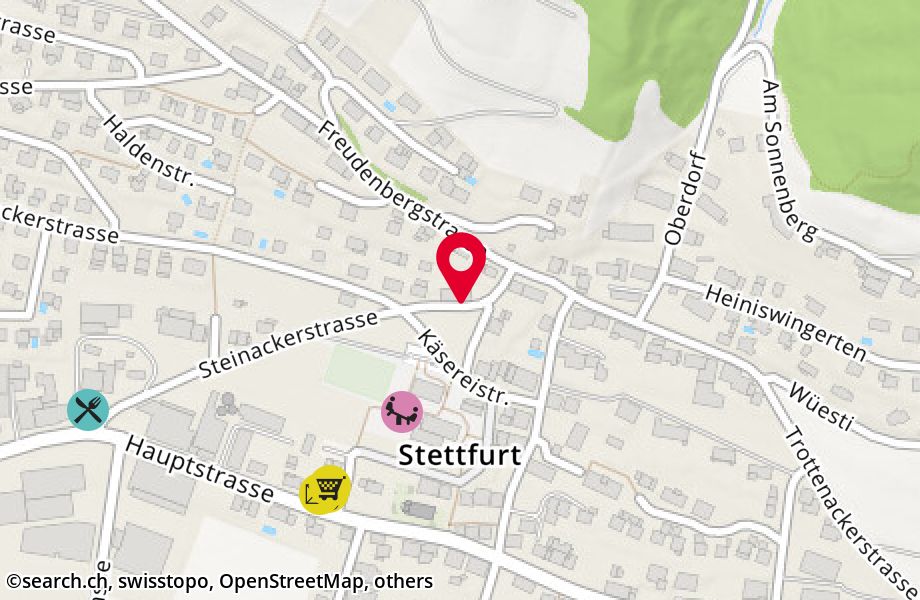 Steinackerstrasse 13, 9507 Stettfurt