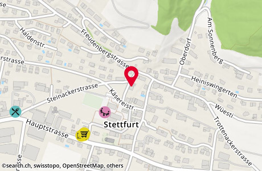 Steinackerstrasse 14, 9507 Stettfurt