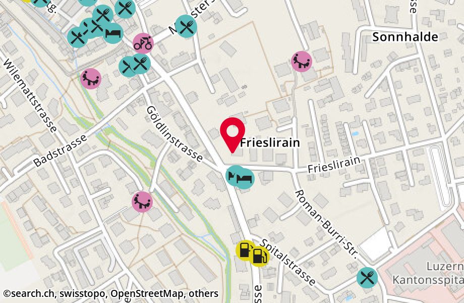 Frieslirain 1a, 6210 Sursee