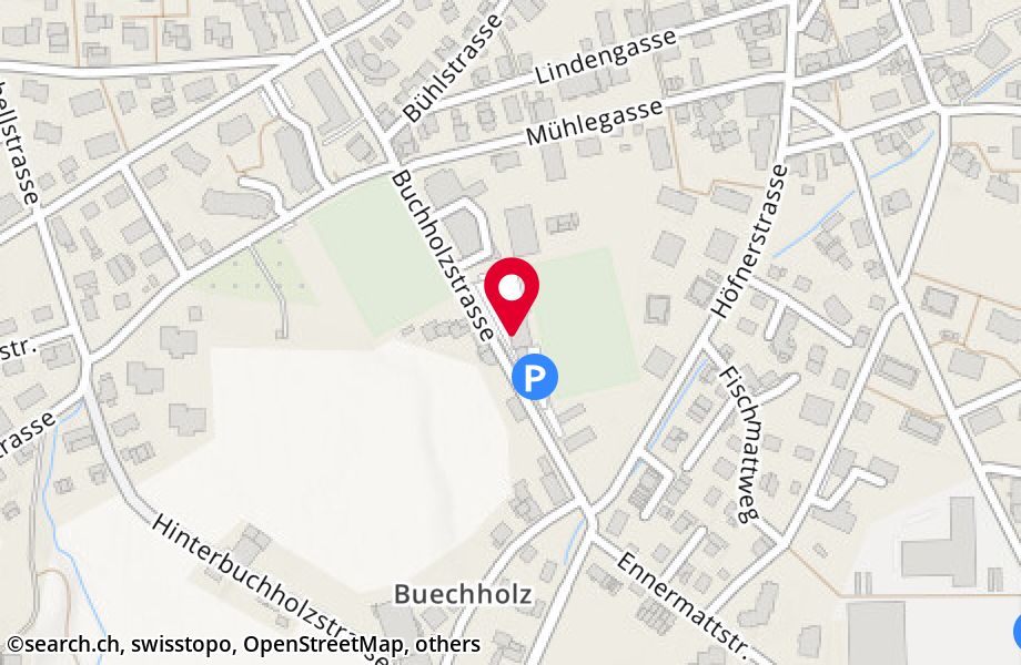Buchholzstrasse 25, 6314 Unterägeri
