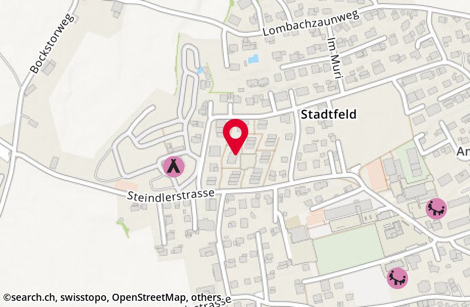 Steindlerstrasse 36C, 3800 Unterseen