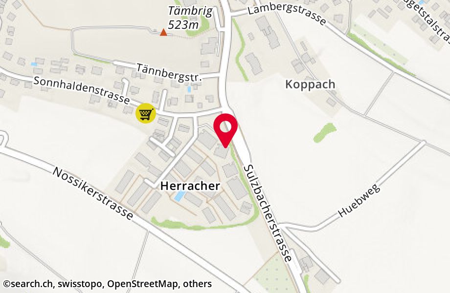 Herracherweg 9, 8610 Uster