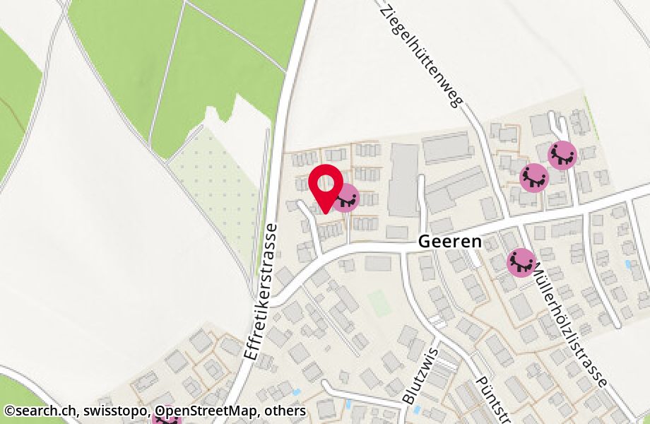 Geerenstrasse 5H, 8604 Volketswil