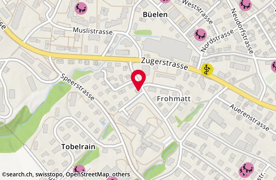 Bürgerheimstrasse 6, 8820 Wädenswil