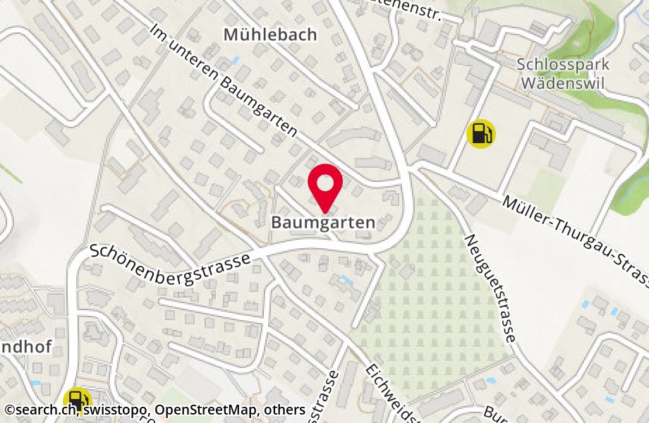 Baumgartenweg 4, 8820 Wädenswil