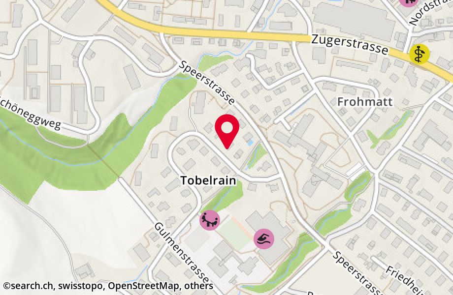 Tobelrainstrasse 4, 8820 Wädenswil