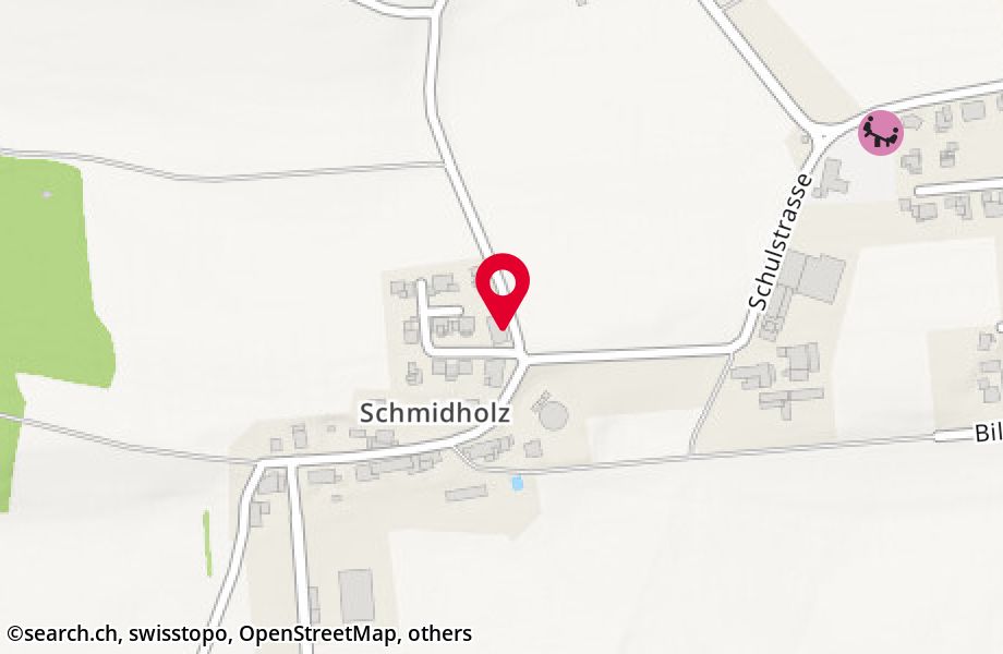 Schmidholz 17, 8564 Wäldi