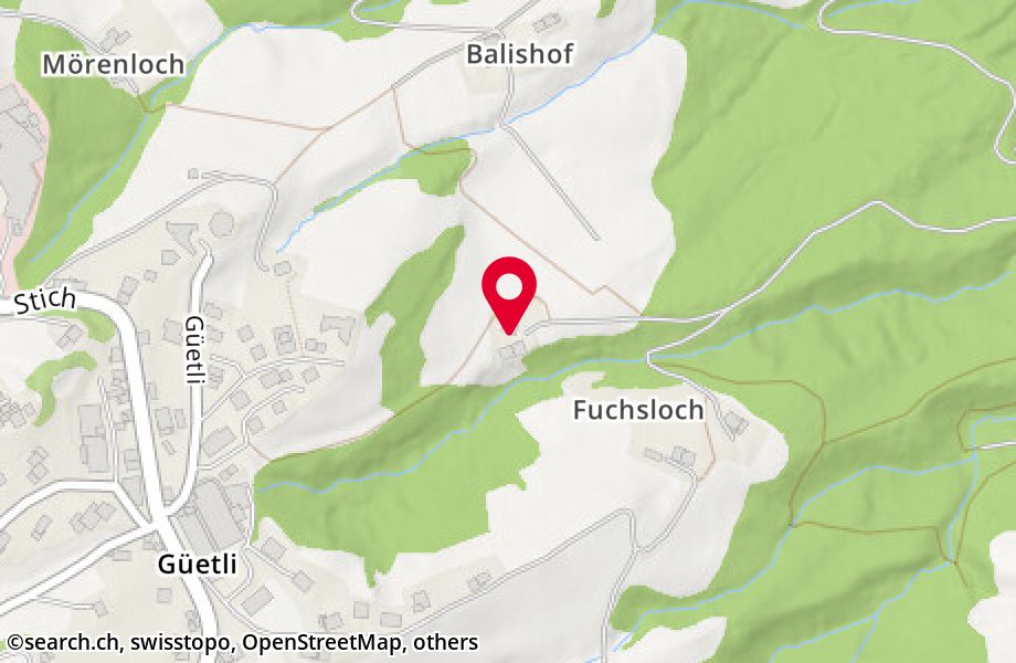 Fuchsloch 526, 9428 Walzenhausen