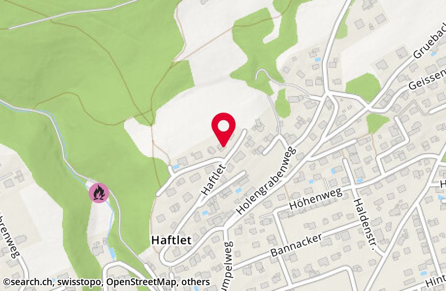 Haftlet 59, 4612 Wangen b. Olten