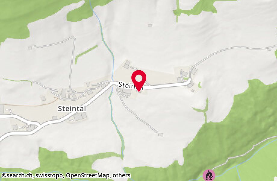 Steintal 739, 9630 Wattwil