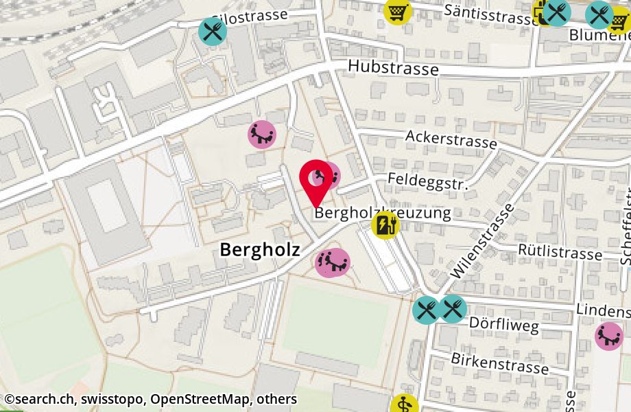 Bergholzstrasse 14, 9500 Wil