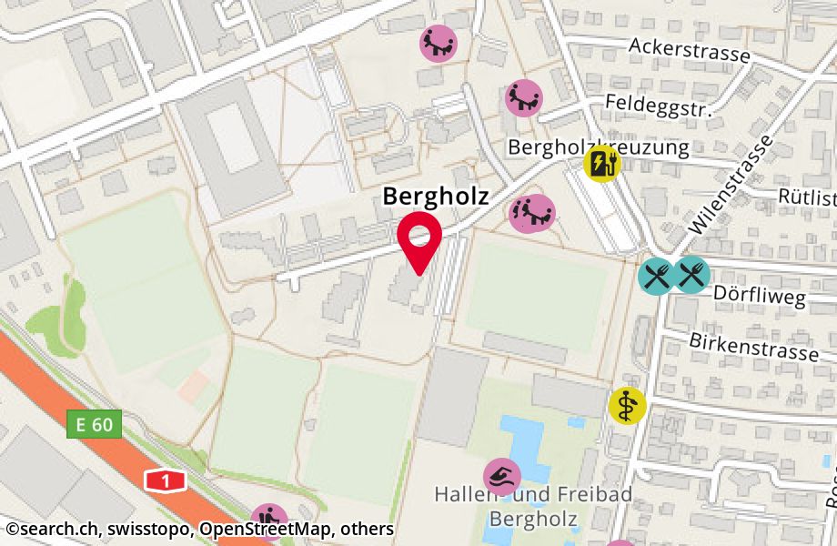 Bergholzstrasse 19, 9500 Wil
