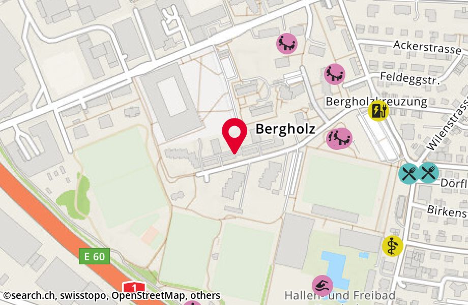Bergholzstrasse 22, 9500 Wil