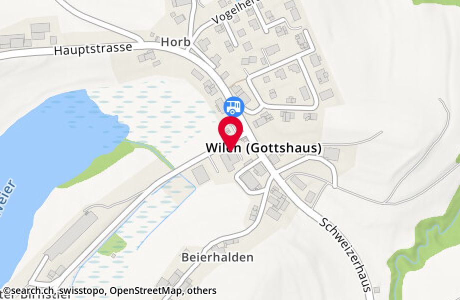 Birnstielstrasse 1, 9225 Wilen (Gottshaus)